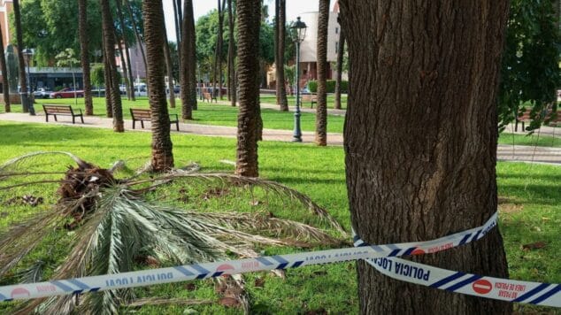 Dénia cierra varios espacios públicos por seguridad ante las fuertes rachas de viento 1 Imagen: Cierre la Plaza Jaume I por el fuerte viento | Foto archivo
