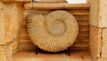 Dénia cultural y con historia para disfrutar en otoño