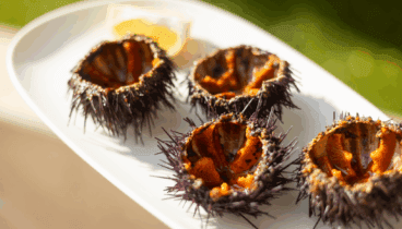 Erizos de mar abiertos al momento con sabor a costa viva