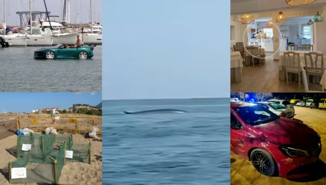 las cinco noticias mas leidas de denia com