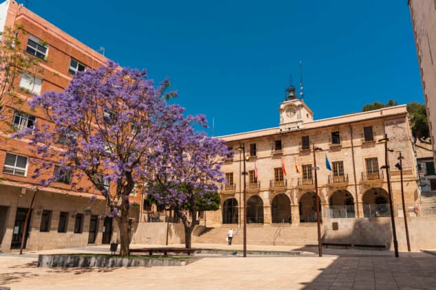 ajuntament de denia