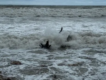 Así sufren el temporal las playas de Dénia 2