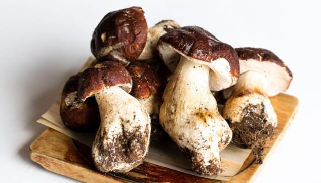 cuina de mar i horta amb producte local de temporada