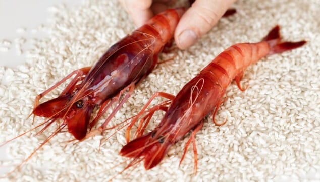 el sabor del mediterrani amb gamba roja i vegetals frescos