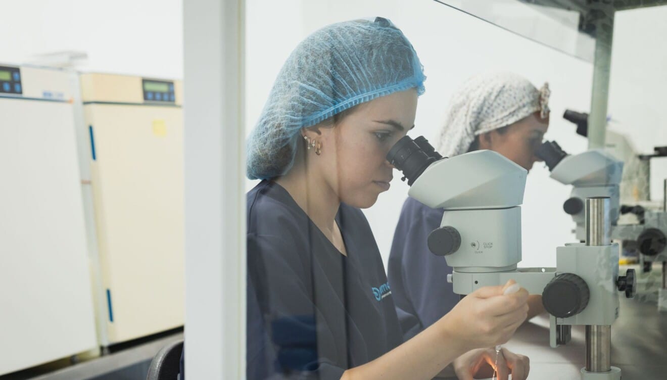 Especialista de laboratorio analizando una muestra bajo el microscopio en las instalaciones de IREMA