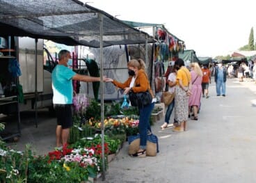 parada de flors i plantes al mercat dels dilluns de denia