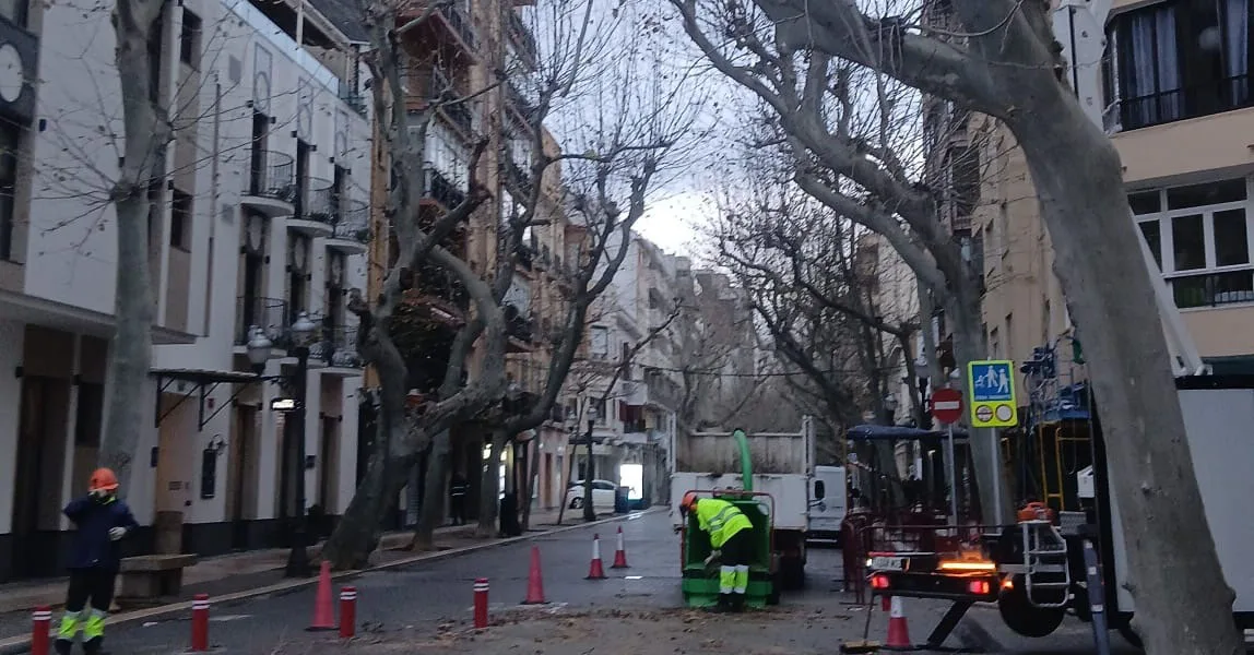 Poda de árboles en la Calle Marqués de Campo-