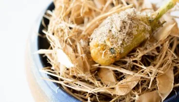 Producto valenciano en platos que equilibran mar y montaña