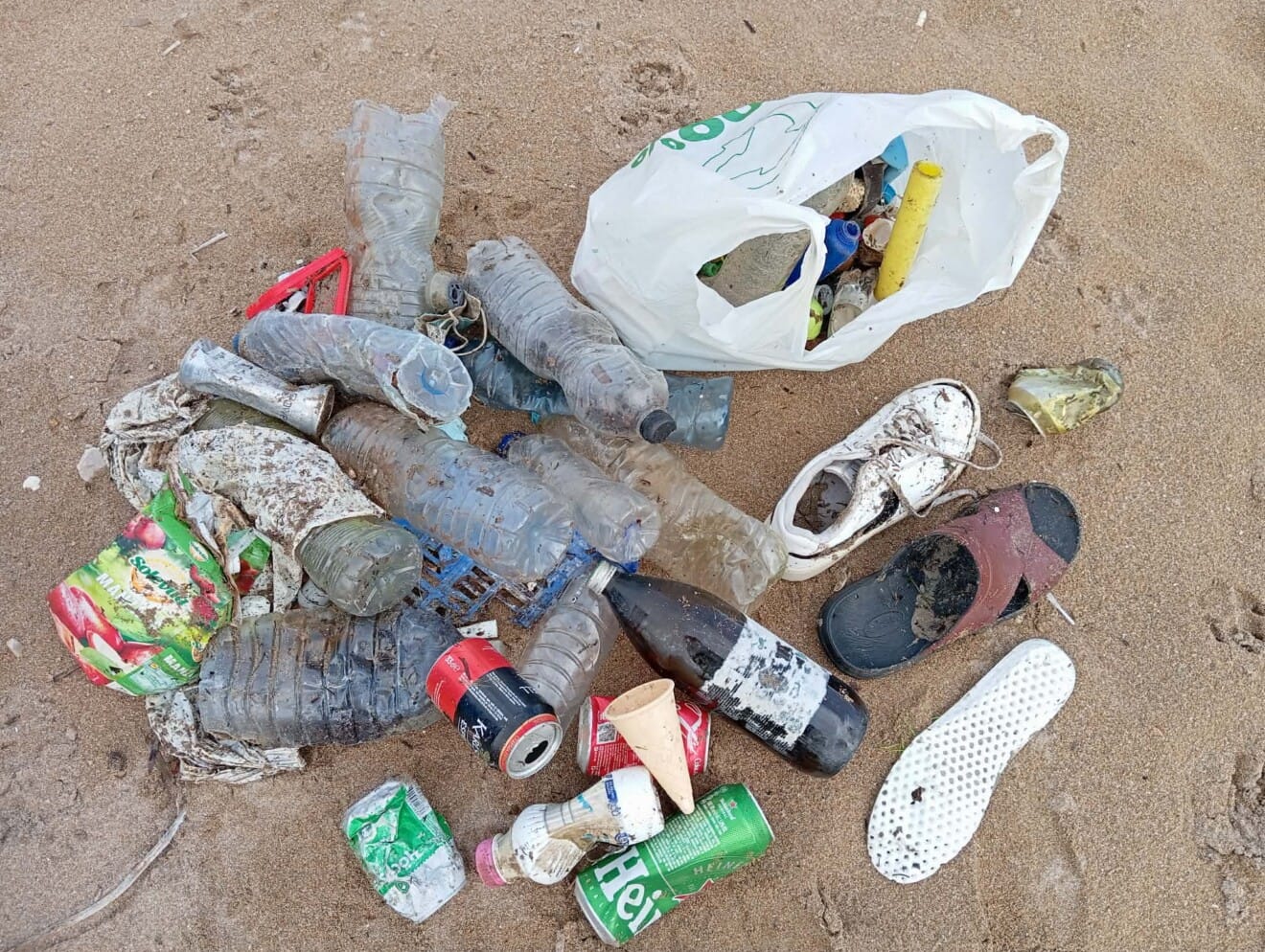 Residuos arrastrados por el temporal acumulados en una playa de Dénia