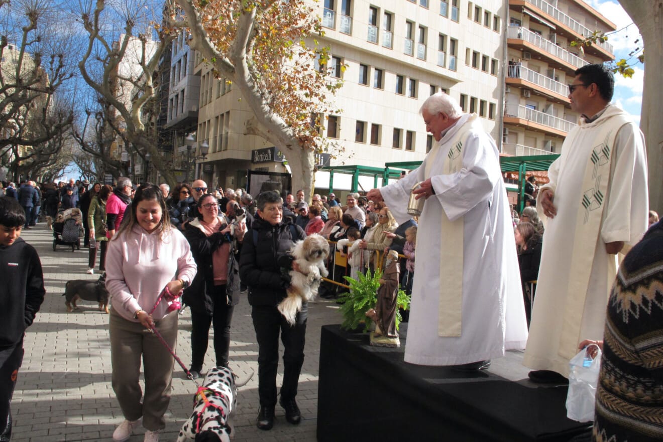 Sant Antoni en Dénia 2026 12