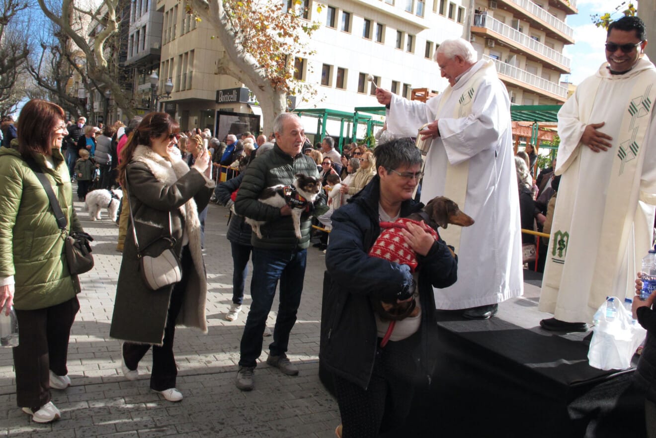 Sant Antoni en Dénia 2026 13