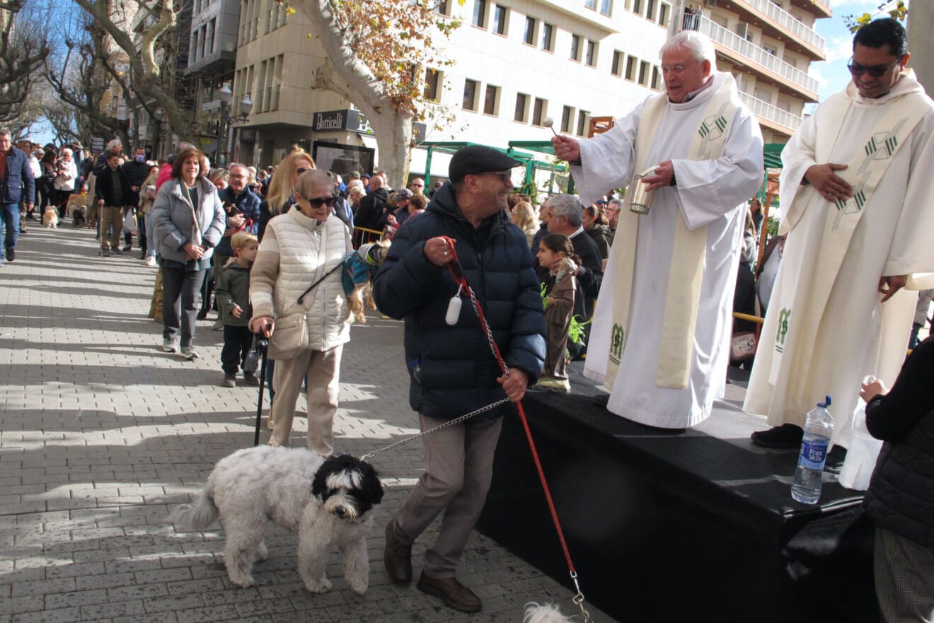 Sant Antoni en Dénia 2026 14