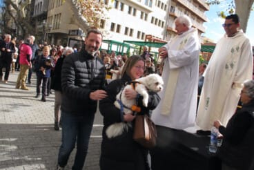 Sant Antoni en Dénia 2026 15