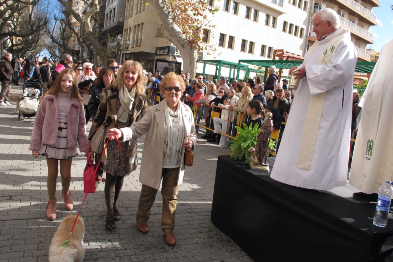 Sant Antoni en Dénia 2026 17