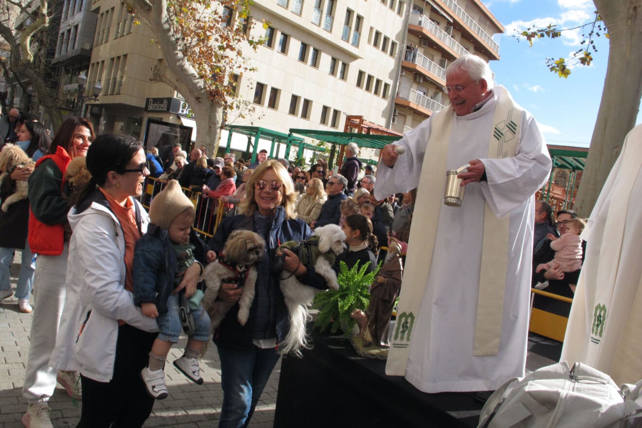 Sant Antoni en Dénia 2026 18