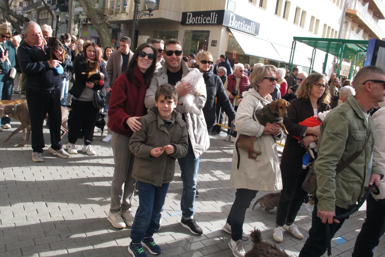Sant Antoni en Dénia 2026 22