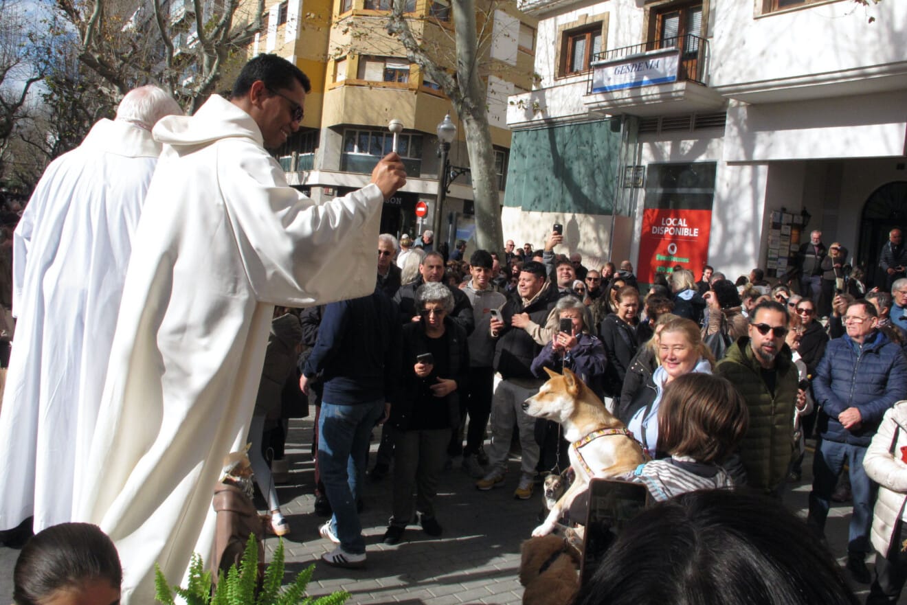 Sant Antoni en Dénia 2026 26