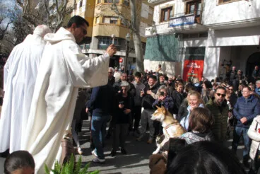 Sant Antoni en Dénia 2026 26