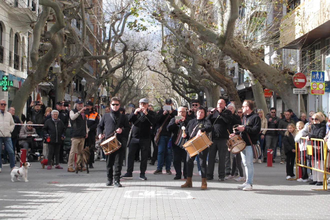 Sant Antoni en Dénia 2026 3