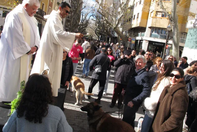 sant antoni en denia 2026 33