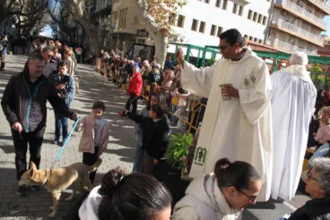 Sant Antoni en Dénia 2026 34