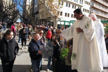 Sant Antoni en Dénia 2026 35