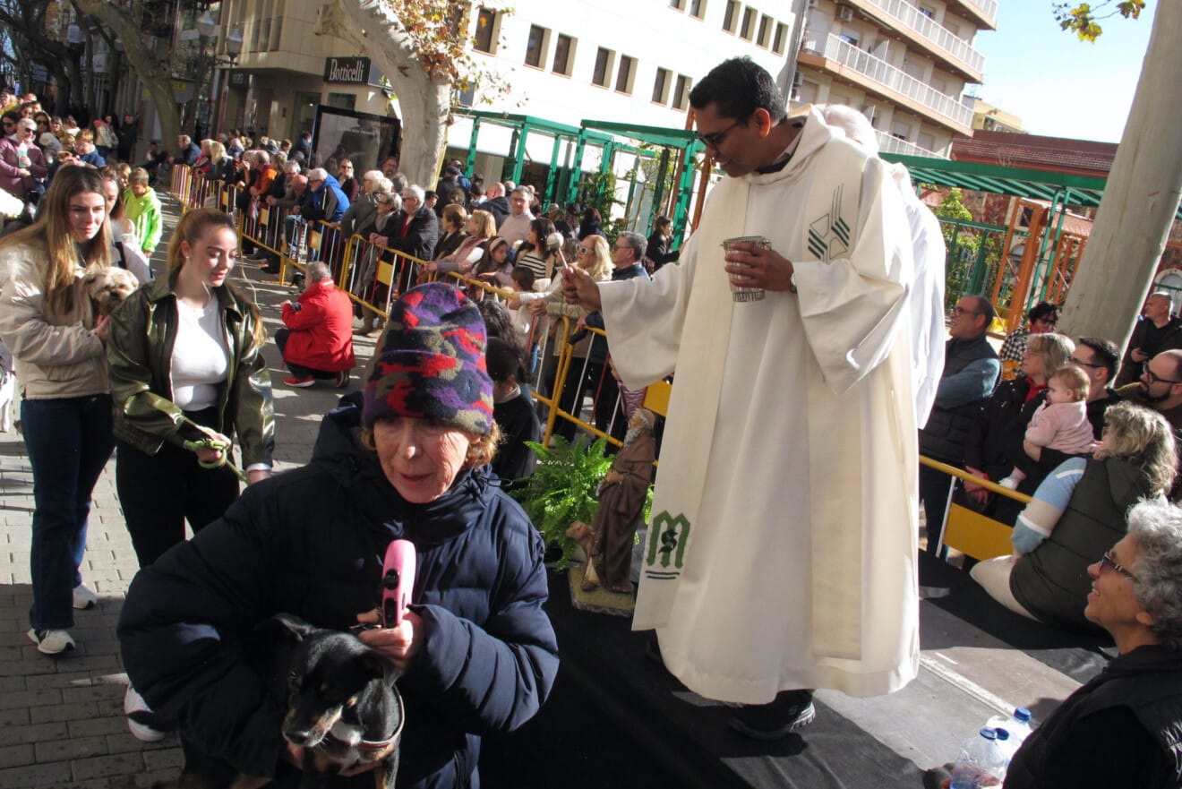 Sant Antoni en Dénia 2026 36