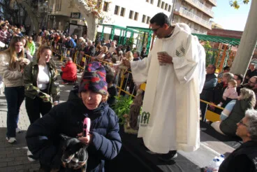 Sant Antoni en Dénia 2026 36