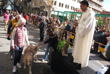 Sant Antoni en Dénia 2026 39