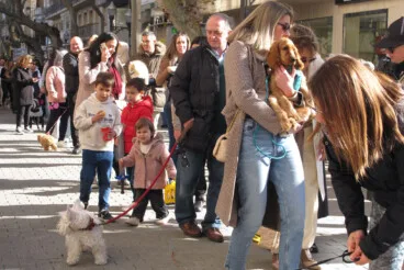 Sant Antoni en Dénia 2026 42
