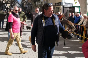 Sant Antoni en Dénia 2026 43