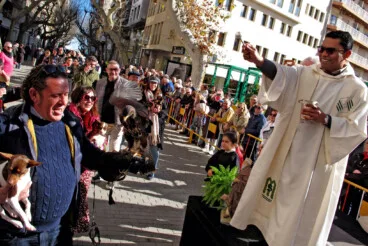 Sant Antoni en Dénia 2026 44