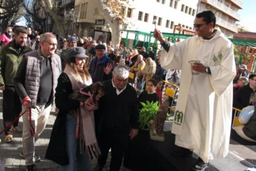 Sant Antoni en Dénia 2026 45