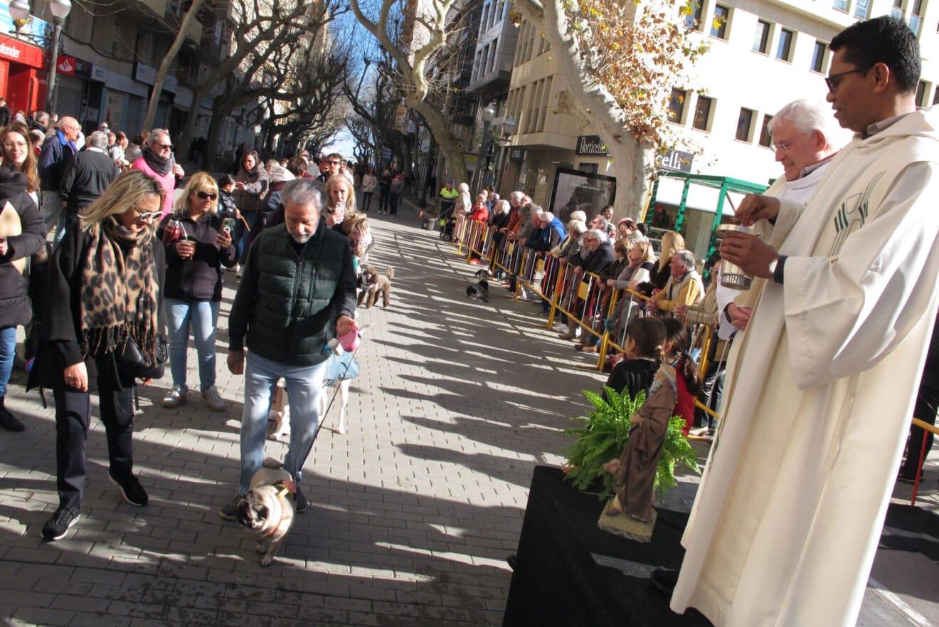 Sant Antoni en Dénia 2026 46