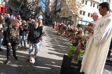 Sant Antoni en Dénia 2026 46