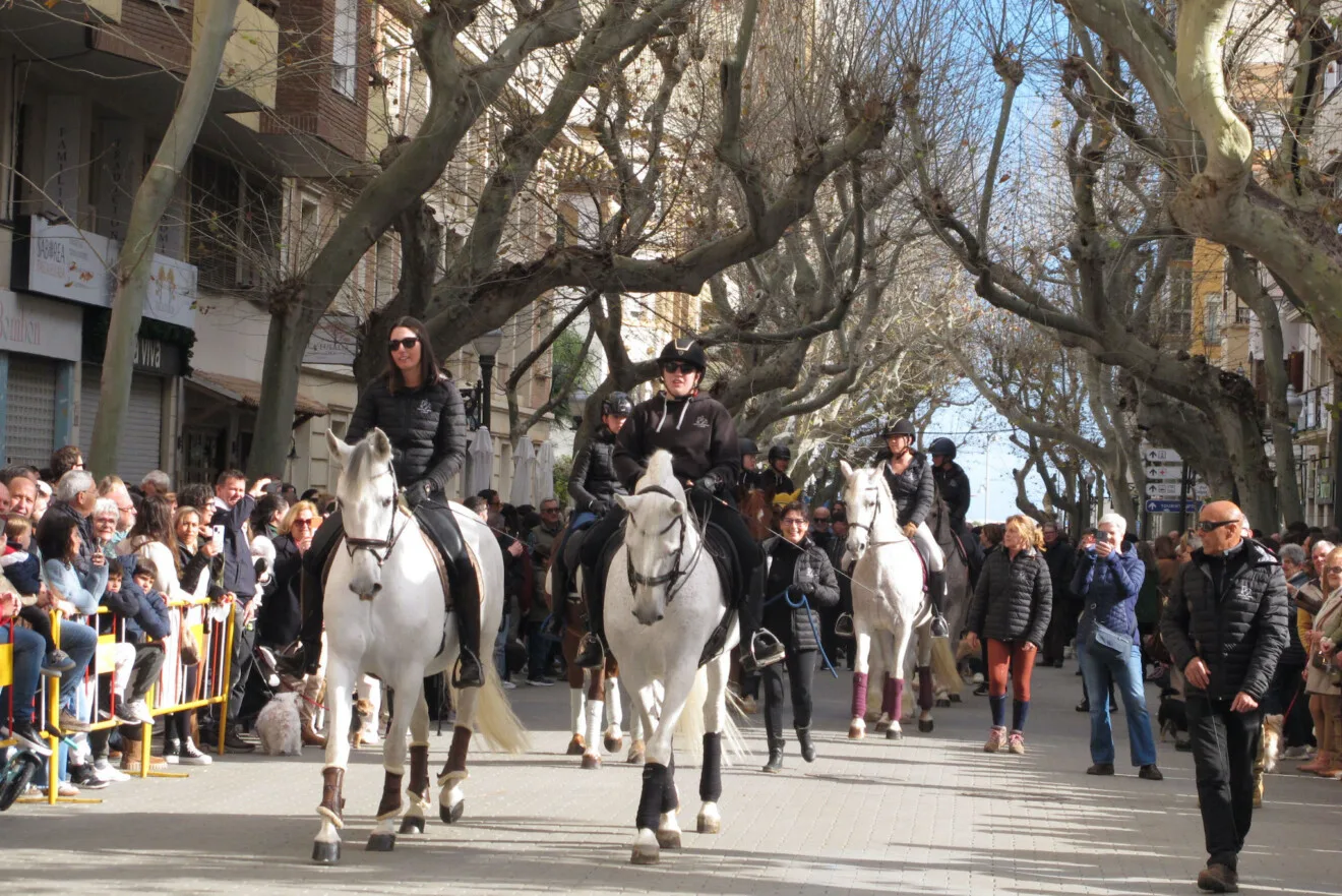 Sant Antoni en Dénia 2026 8