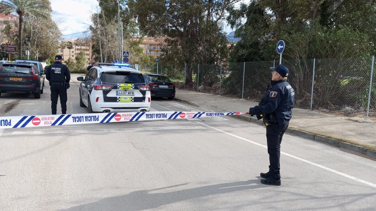 Un árbol cae y bloquea una calle de Dénia por el fuerte viento 2