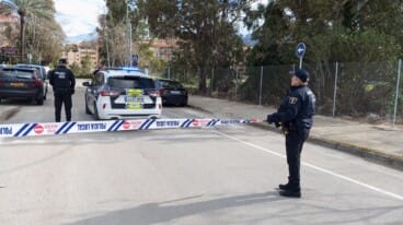 Un árbol cae y bloquea una calle de Dénia por el fuerte viento 2
