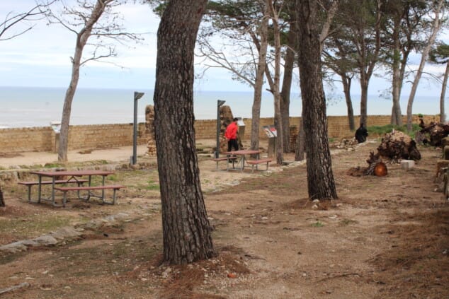 vista general del castillo de denia tras los trabajos de tala de pinos secos en el recinto 10