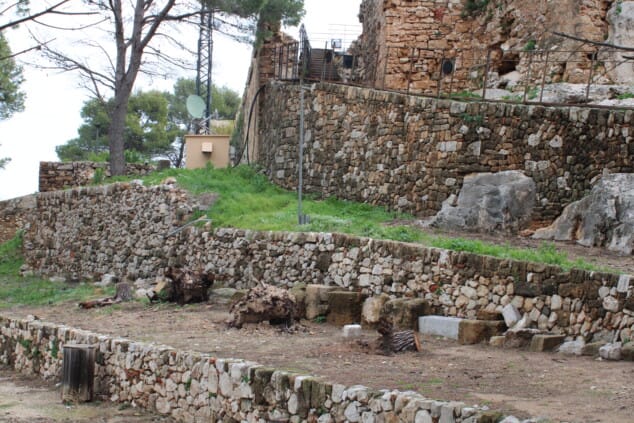 vista general del castillo de denia tras los trabajos de tala de pinos secos en el recinto 11