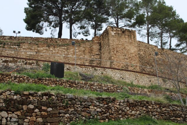vista general del castillo de denia tras los trabajos de tala de pinos secos en el recinto 3