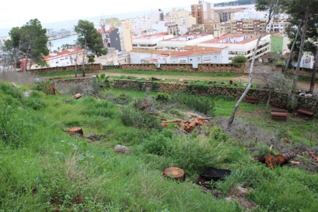 vista general del castillo de denia tras los trabajos de tala de pinos secos en el recinto 4