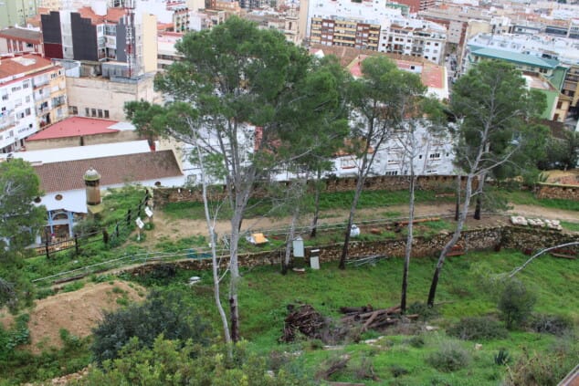 vista general del castillo de denia tras los trabajos de tala de pinos secos en el recinto 6
