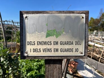 El alumnado de la Escuela de Adultos Ramón Ortega durante la visita a los huertos urbanos de Dénia (10)