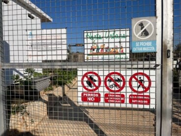 El alumnado de la Escuela de Adultos Ramón Ortega durante la visita a los huertos urbanos de Dénia (11)
