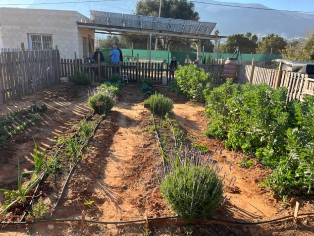 el alumnado de la escuela de adultos ramon ortega durante la visita a los huertos urbanos de denia 15