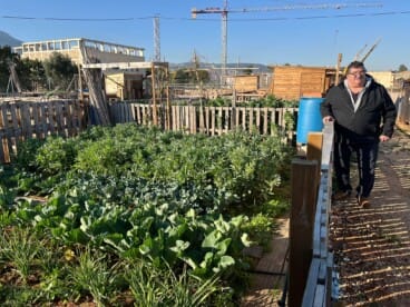 El alumnado de la Escuela de Adultos Ramón Ortega durante la visita a los huertos urbanos de Dénia (2)