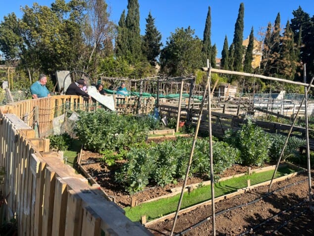 el alumnado de la escuela de adultos ramon ortega durante la visita a los huertos urbanos de denia 8