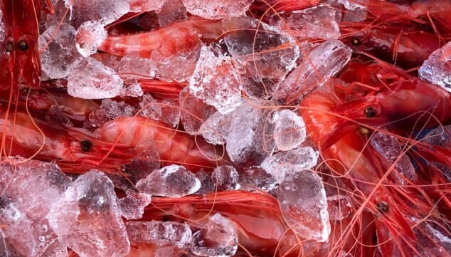 experiencia gastronomica marinera en restaurante la bahia