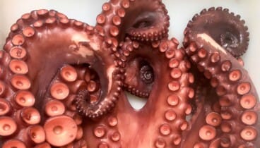 Gastronomía mediterránea en Dénia con producto fresco y de calidad